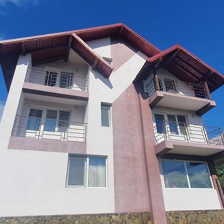 Casa Silvia Hotel Căpăţîneni-Ungureni Bagian luar foto