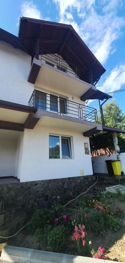 Casa Silvia Hotel Căpăţîneni-Ungureni Bagian luar foto