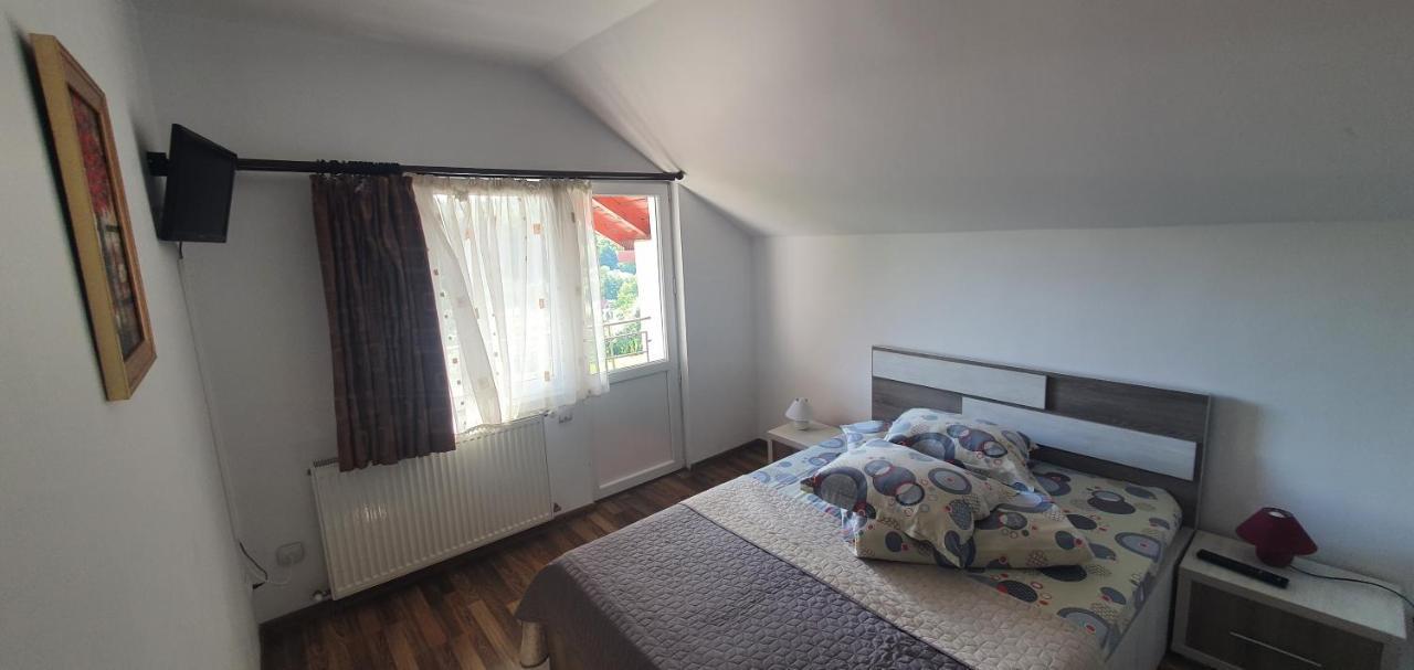 Casa Silvia Hotel Căpăţîneni-Ungureni Bagian luar foto