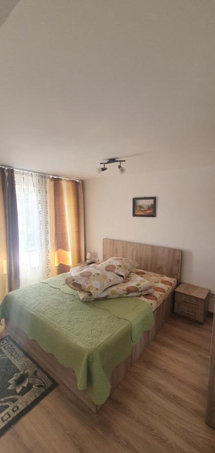 Casa Silvia Hotel Căpăţîneni-Ungureni Bagian luar foto