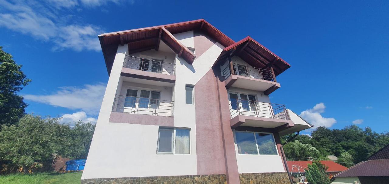Casa Silvia Hotel Căpăţîneni-Ungureni Bagian luar foto