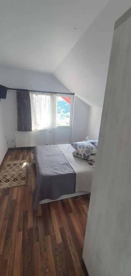 Casa Silvia Hotel Căpăţîneni-Ungureni Bagian luar foto