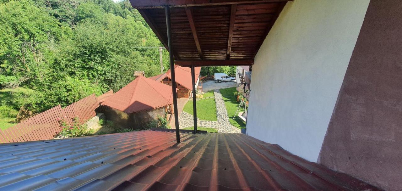 Casa Silvia Hotel Căpăţîneni-Ungureni Bagian luar foto