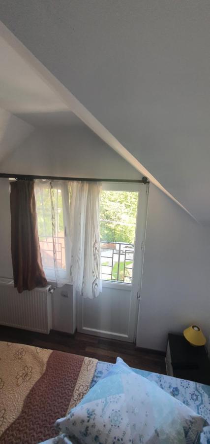 Casa Silvia Hotel Căpăţîneni-Ungureni Bagian luar foto