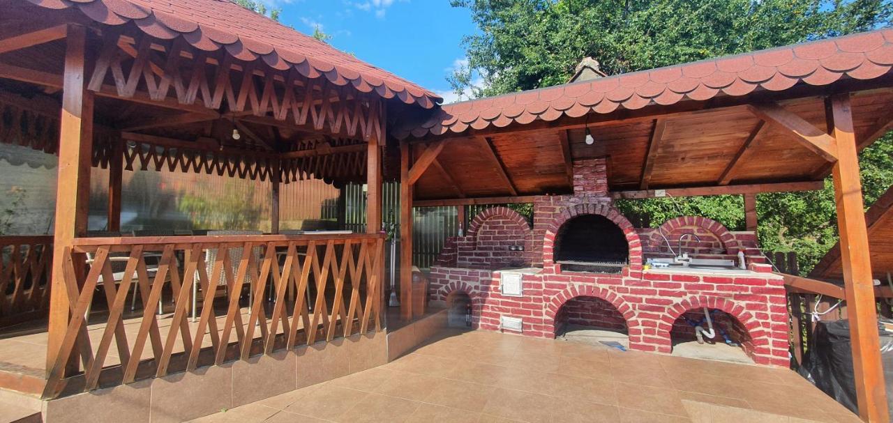 Casa Silvia Hotel Căpăţîneni-Ungureni Bagian luar foto