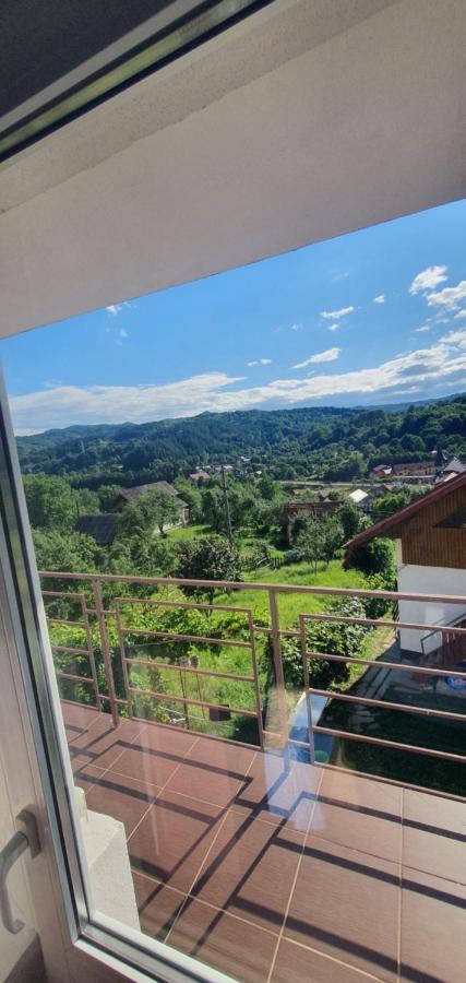 Casa Silvia Hotel Căpăţîneni-Ungureni Bagian luar foto