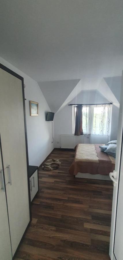 Casa Silvia Hotel Căpăţîneni-Ungureni Bagian luar foto