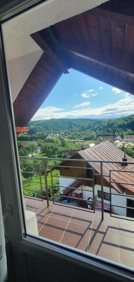 Casa Silvia Hotel Căpăţîneni-Ungureni Bagian luar foto